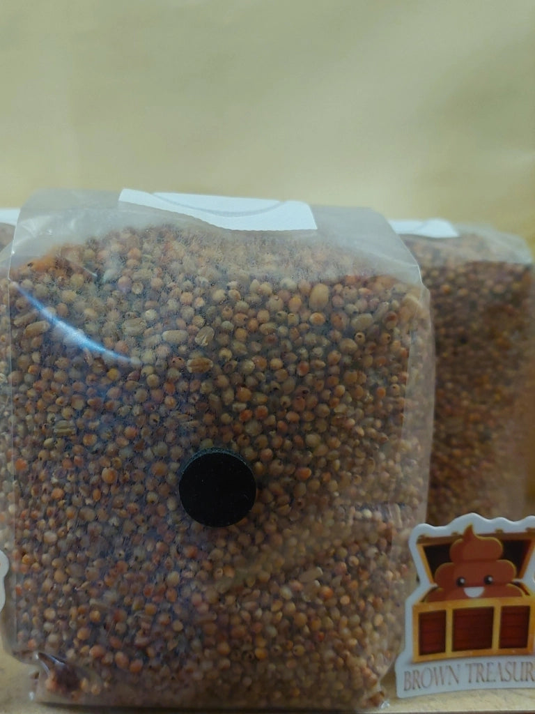 Sterilized, Mushroom Grain Spawn (2lb Bag)
