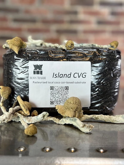 Island CVG (4lb Bag)