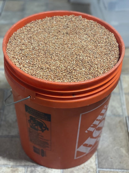 Dry, Red Milo (Grain Sorghum) - 25lbs